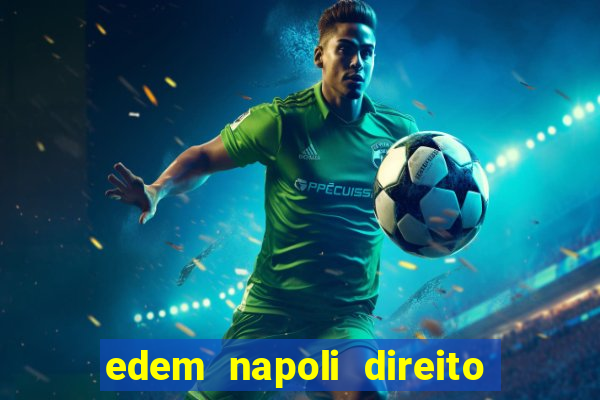 edem napoli direito constitucional pdf