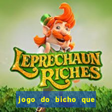 jogo do bicho que paga no pix