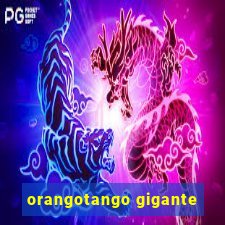 orangotango gigante