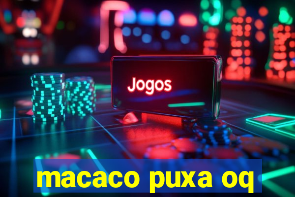 macaco puxa oq