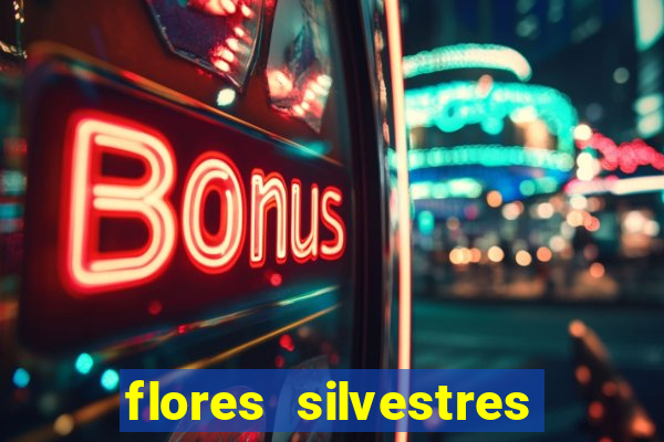 flores silvestres desbravadores desbravadores 25