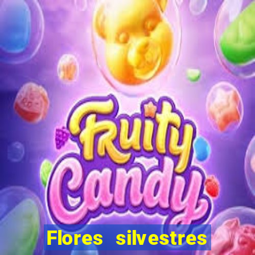 Flores silvestres brasileiras brasileiras flores silvestres nomes e imagens