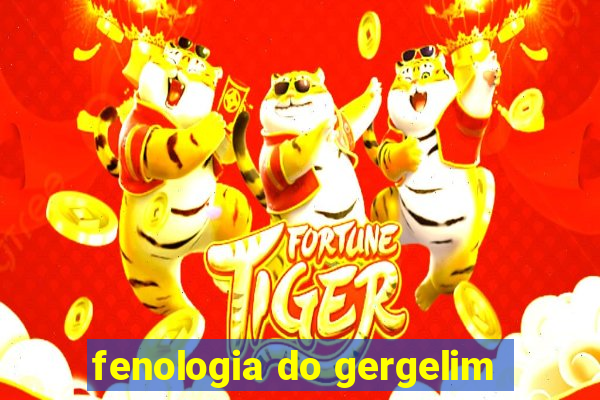 fenologia do gergelim