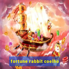 fortune rabbit coelho