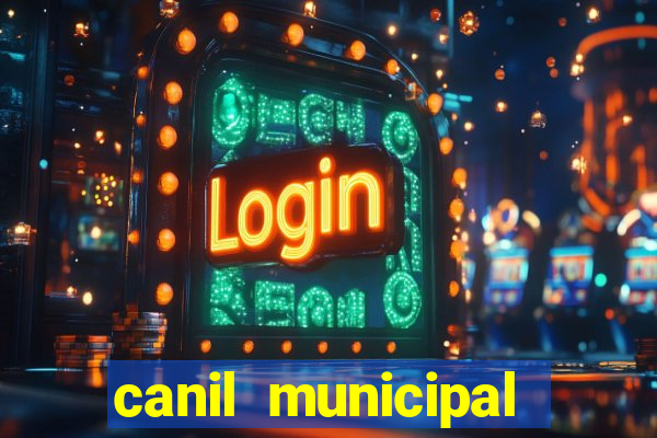 canil municipal porto alegre