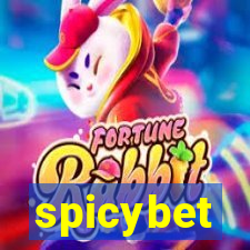 spicybet-2.com