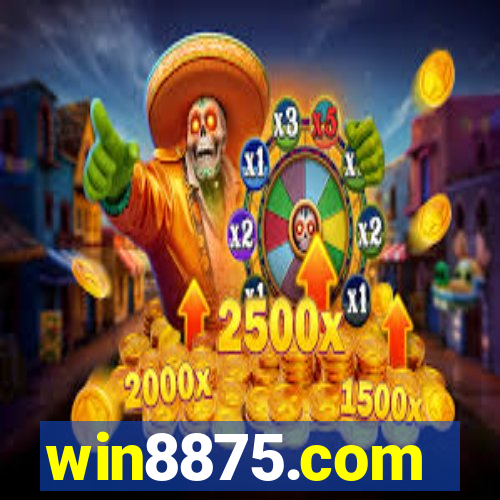 win8875.com