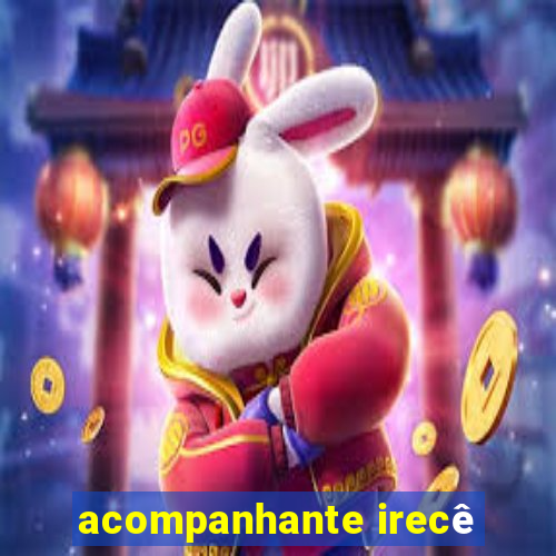 acompanhante irecê