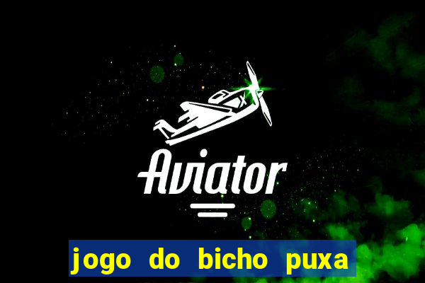 jogo do bicho puxa de dona maria