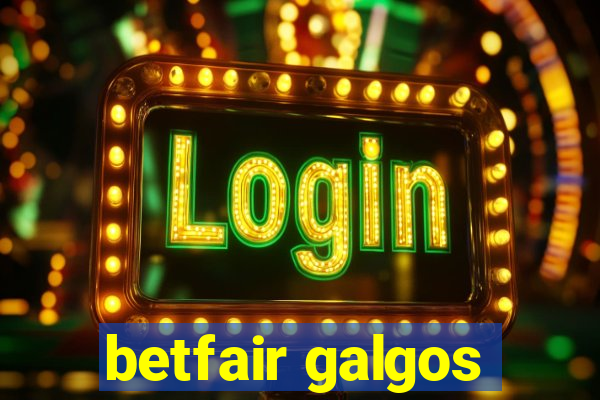 betfair galgos