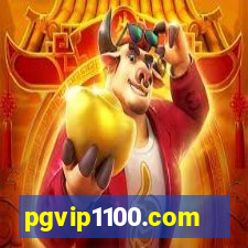 pgvip1100.com